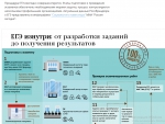Инфографика ЕГЭ