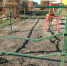 DSCF3078 - Газета Районные вести