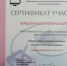 Интернет - олимпиада по избирательному праву - Комитет по образованию