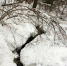 2013-02-16-71 - Газета Районные вести