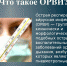 орви - Газета Районные вести