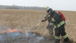 Пал сухой травы может стать причиной серьёзного пожара.