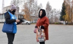 перепись