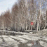 OLYMPUS DIGITAL CAMERA - Газета Районные вести