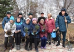 Саженцы ели посадили в «Центральном парке» села Советское