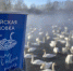 ijk3pzl73ycobz2h1e1u6kvctyz7577w_small - Газета Районные вести