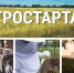 agrostartup - Газета Районные вести