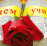 с днем учителя - Газета Районные вести