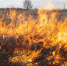 Big fire in the field - Газета Районные вести
