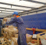 WhatsApp-Image-2024_07_23-at-12.12.38_big - Газета Районные вести