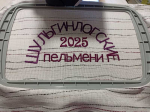Благодаря социальному контракту в селе Шульгин Лог Советского района откроется ателье