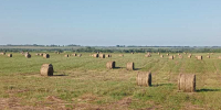photo_2025-07-21_09-17-40 - Газета Районные вести