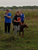 В Советском районе прошли соревнования по Hard Dog Race «Пёс и экстремальный кросс»