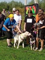 В Советском районе прошли соревнования по Hard Dog Race «Пёс и экстремальный кросс»