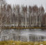image (3) - Газета Районные вести