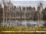 image (3)