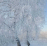 photo_2026-01-19_08-17-40 - Газета Районные вести