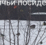 photo_2026-01-26_08-53-55 - Газета Районные вести