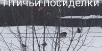 photo_2026-01-26_08-53-55 - Газета Районные вести