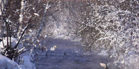 photo_2026-01-26_12-04-24 - Газета Районные вести