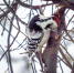 i (3) - Газета Районные вести