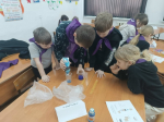Орлята Сибирской СОШ Советского района продолжили изучать программу «Орлята России»