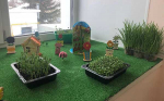 Маленькие садоводы д/с «Ландыш» Советского района: Исследуем мир растений